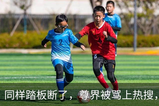 同样踏板断了，尊界被骂上热搜，特斯拉却有人说“保命设计”？这双标该收了